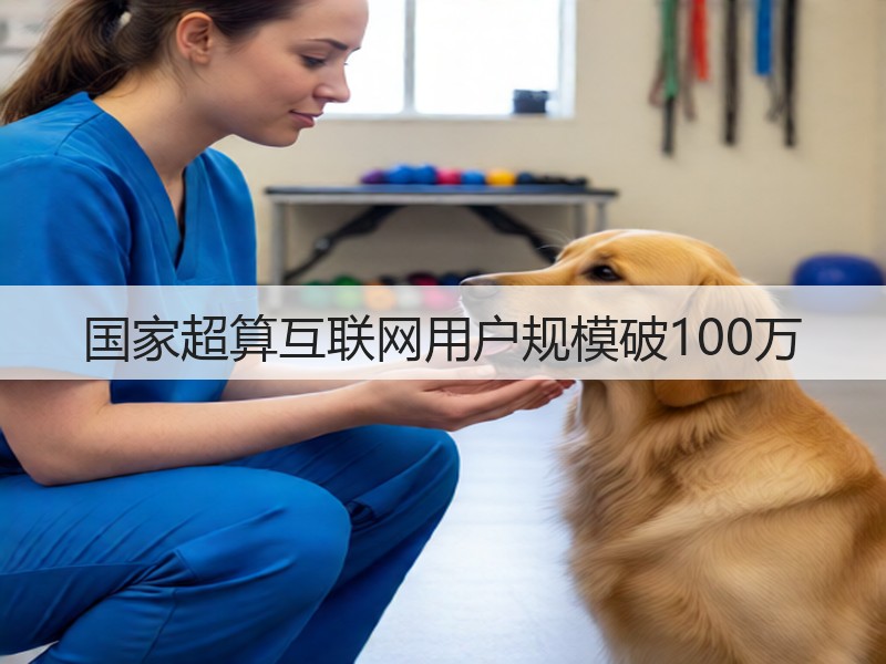 国家超算互联网用户规模破100万(图2)