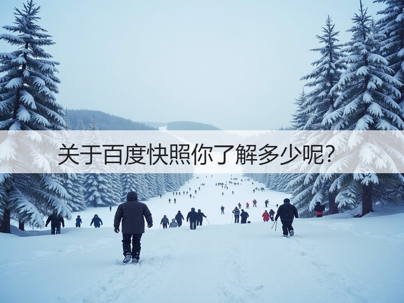 关于百度快照你了解多少呢？(图3)