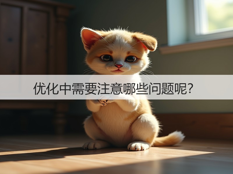 优化中需要注意哪些问题呢？(图3)