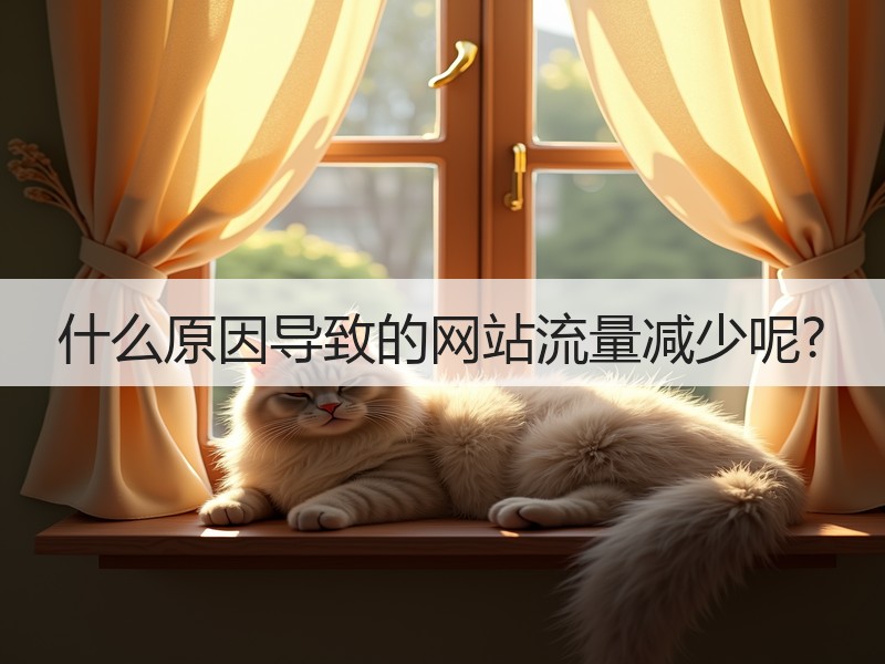 什么原因导致的网站流量减少呢?