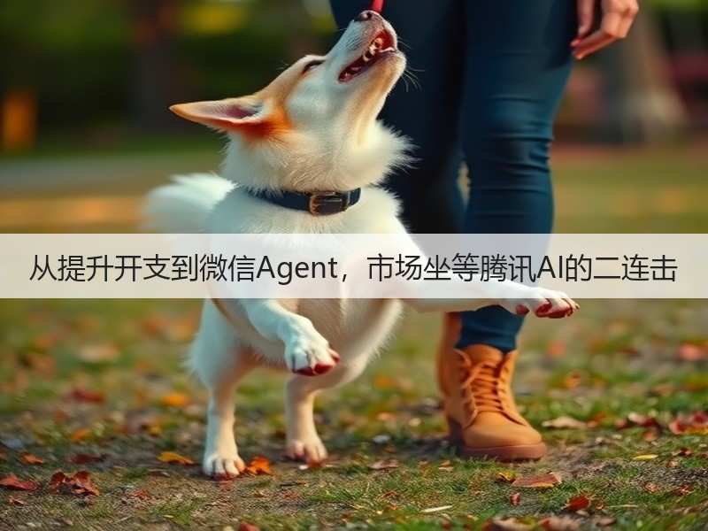 从提升开支到微信Agent,市场坐等腾讯AI的二连击(图2) 从提升开支到微信Agent,市场坐等腾讯AI的二连击(图2)