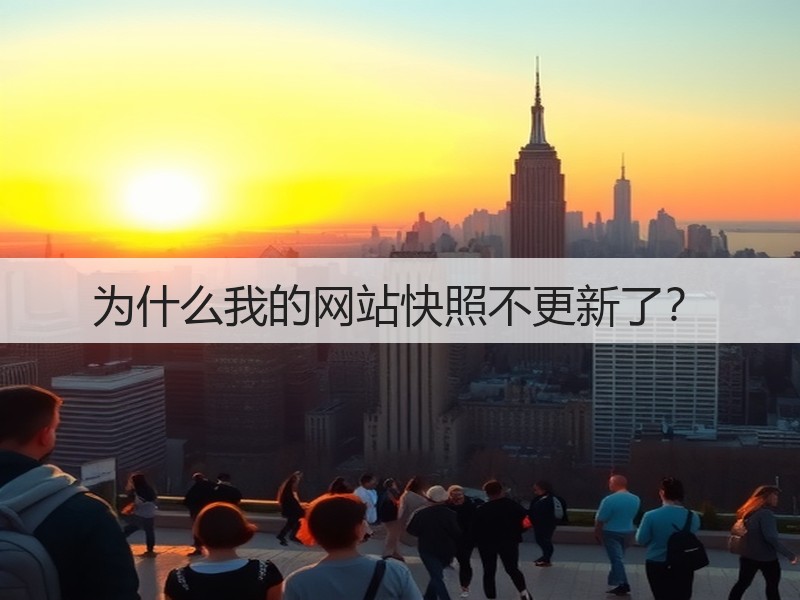 为什么我的网站快照不更新了？(图3)