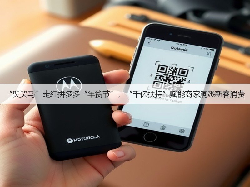 “哭哭马”走红拼多多“年货节”，“千亿扶持”赋能商家洞悉新春消费(图2)