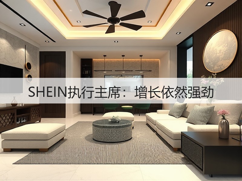 SHEIN执行主席：增长依然强劲(图2)