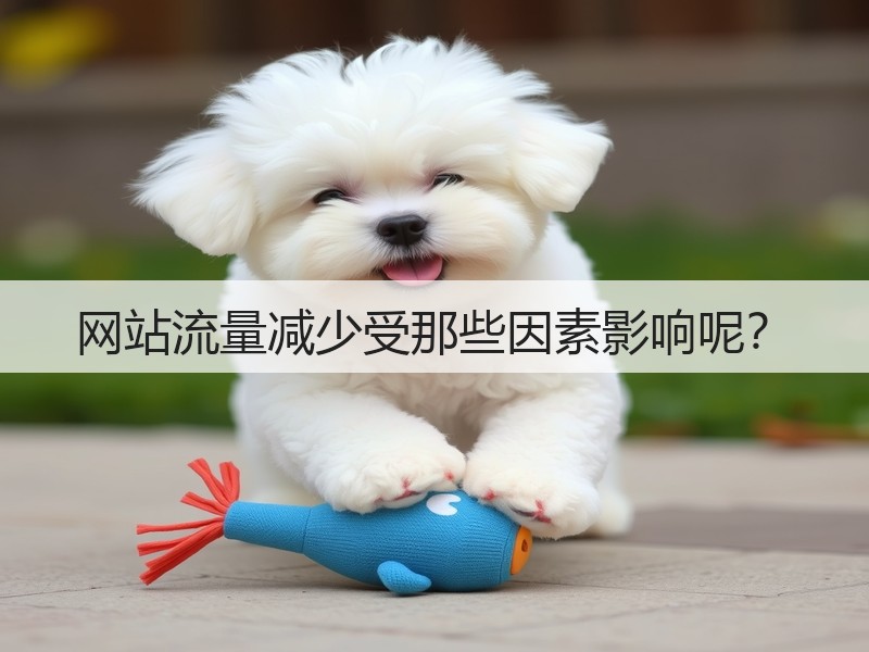 网站流量减少受那些因素影响呢?(图3) 网站流量减少受那些因素影响呢?(图3)