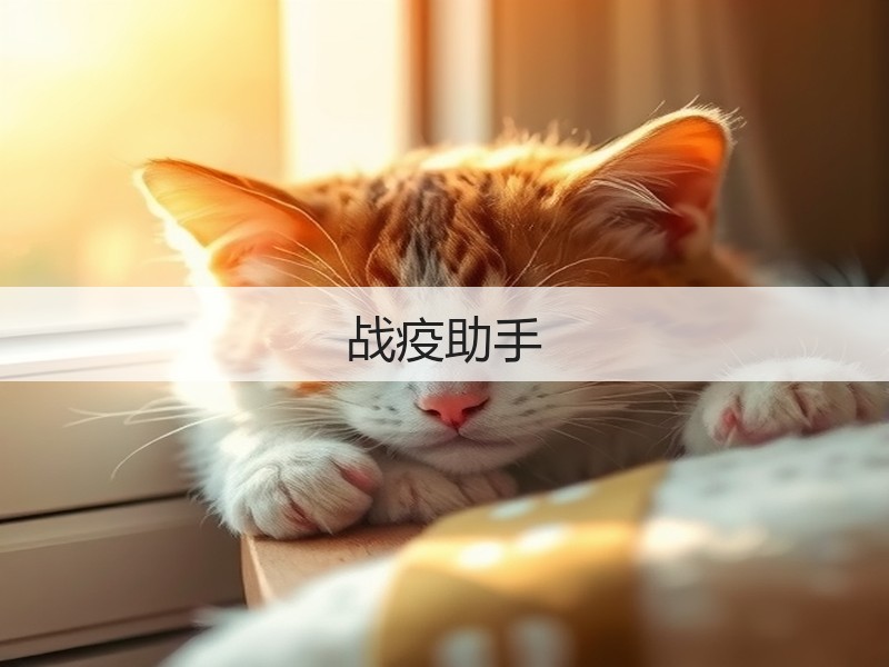 战疫助手(图1)