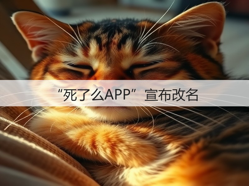 “死了么APP”宣布改名(图1) “死了么APP”宣布改名(图1)