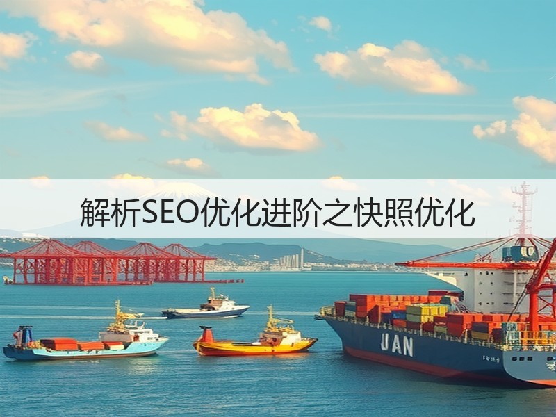 解析SEO优化进阶之快照优化(图1)