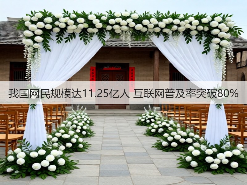 我国网民规模达11.25亿人 互联网普及率突破80%(图3)