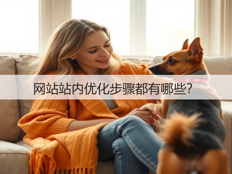 网站站内优化步骤都有哪些？(图3)