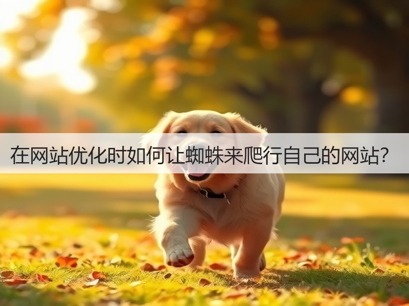 在网站优化时如何让蜘蛛来爬行自己的网站？(图2)