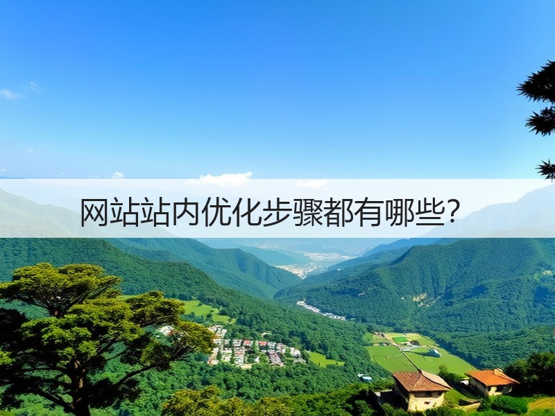 网站站内优化步骤都有哪些？(图3)