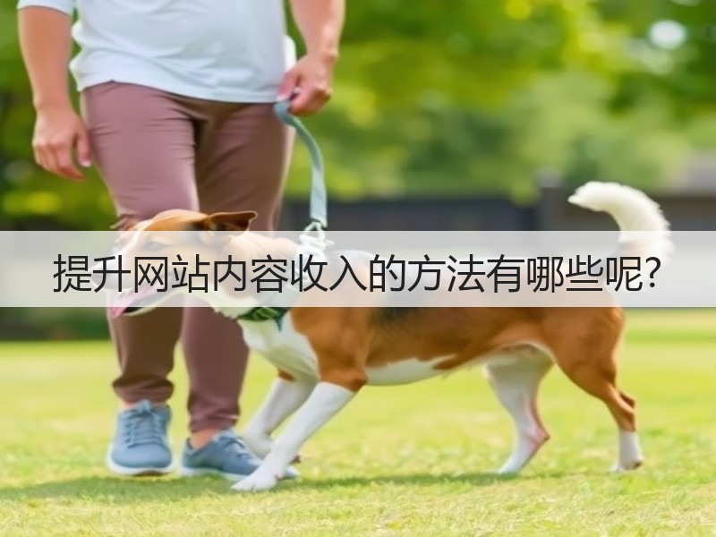 提升网站内容收入的方法有哪些呢?(图2) 提升网站内容收入的方法有哪些呢?(图2)