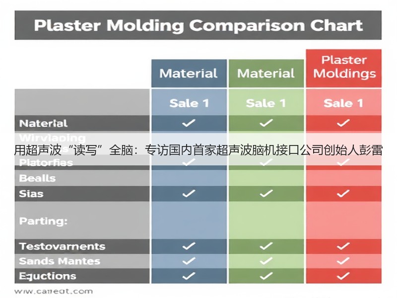 用超声波“读写”全脑：专访国内首家超声波脑机接口公司创始人彭雷(图3)