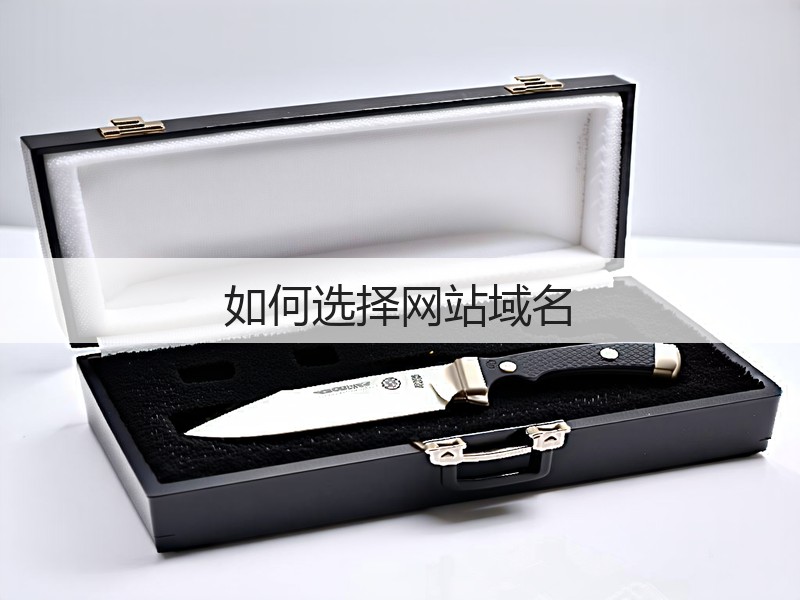 如何选择网站域名(图2)