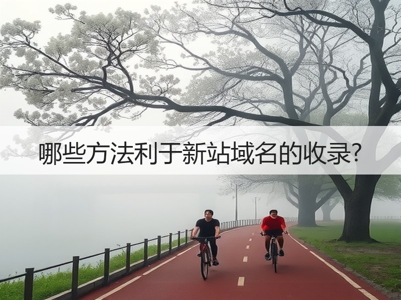 哪些方法利于新站域名的收录?