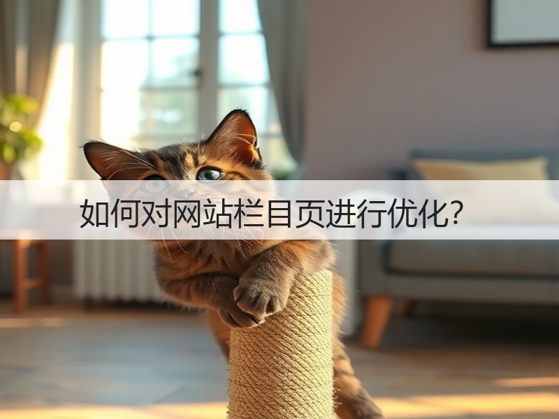 如何对网站栏目页进行优化？(图3)