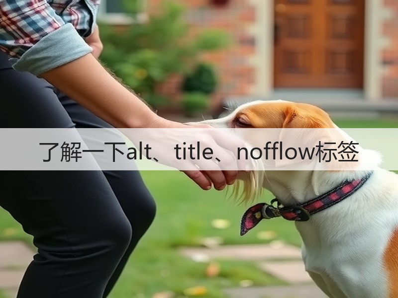 了解一下alt、title、nofflow标签(图3) 了解一下alt、title、nofflow标签(图3)