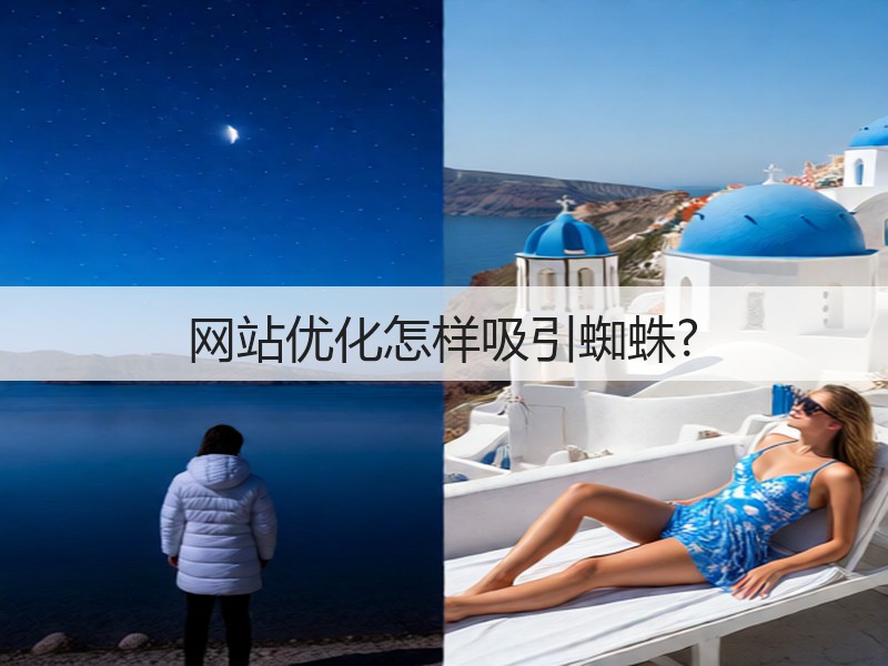 网站优化怎样吸引蜘蛛?(图2)