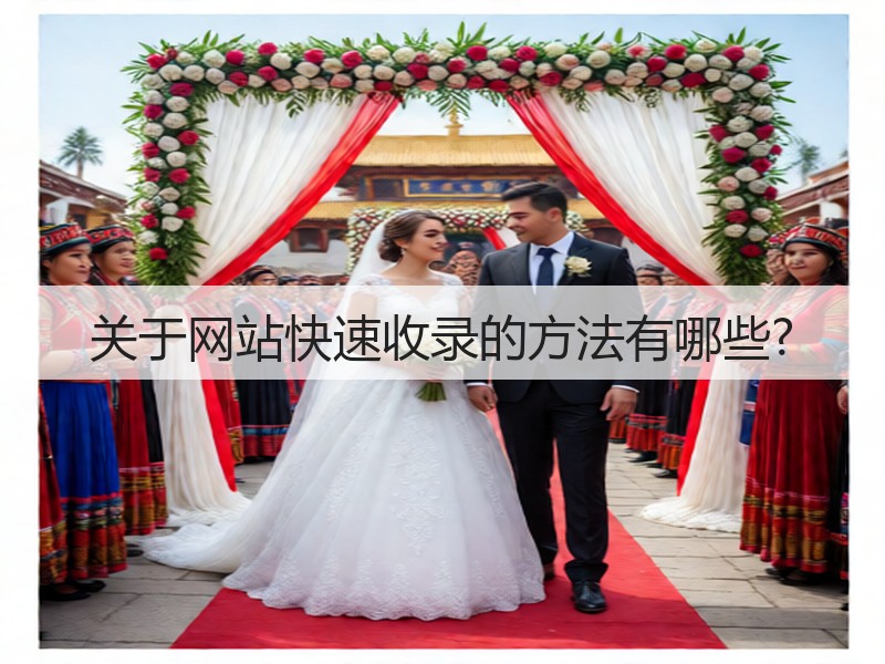 关于网站快速收录的方法有哪些?(图3)