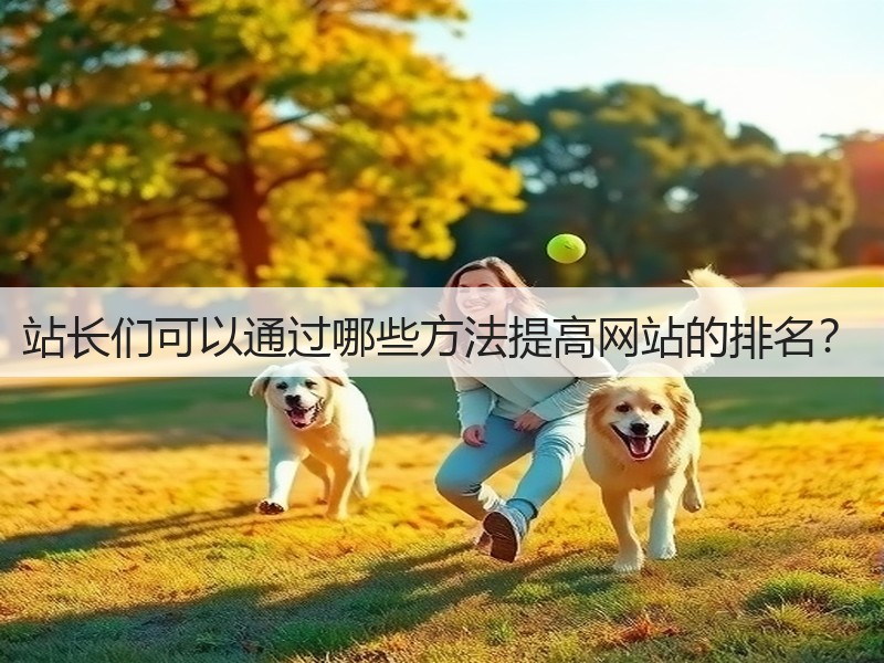 站长们可以通过哪些方法提高网站的排名?(图3) 站长们可以通过哪些方法提高网站的排名?(图3)