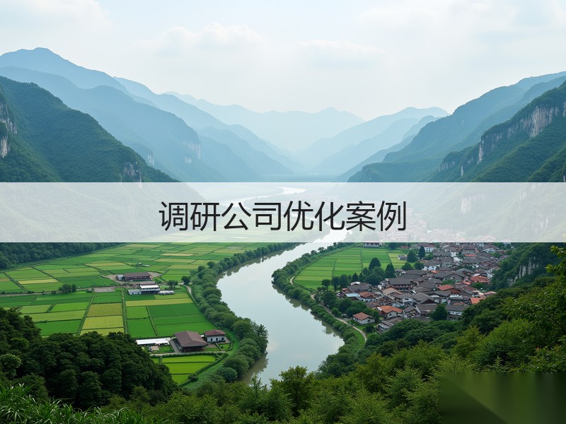 调研公司优化案例(图3)