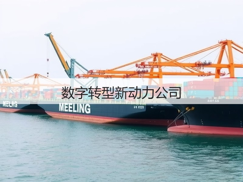 数字转型新动力公司(图3)