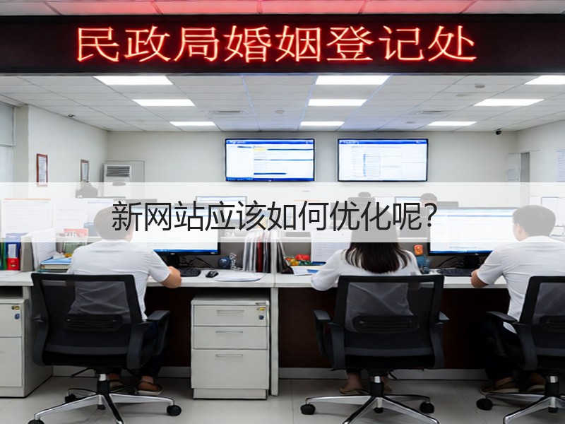 新网站应该如何优化呢?(图3) 新网站应该如何优化呢?(图3)