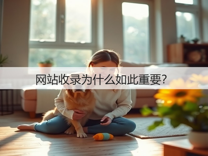 网站收录为什么如此重要?(图2) 网站收录为什么如此重要?(图2)