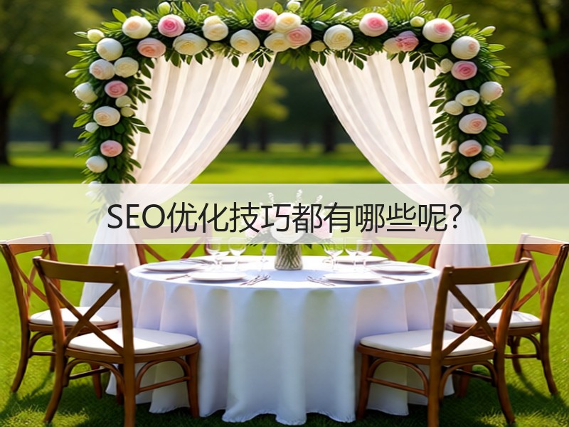 SEO优化技巧都有哪些呢?(图1) SEO优化技巧都有哪些呢?(图1)