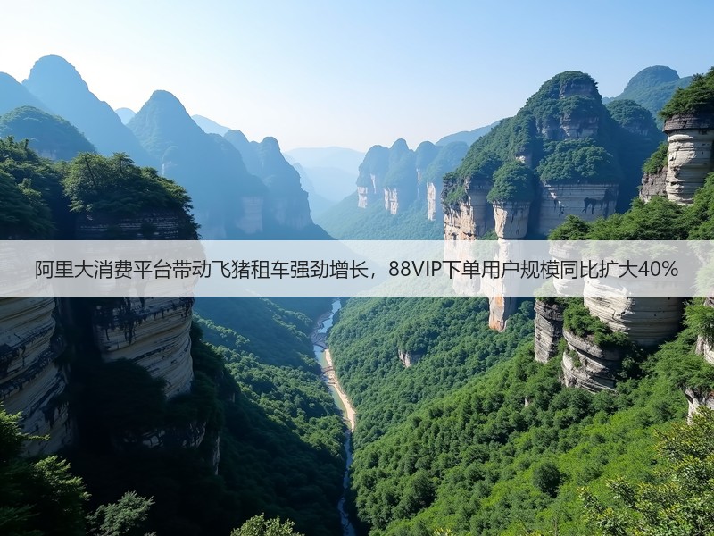 阿里大消费平台带动飞猪租车强劲增长,88VIP下单用户规模同比扩大40%(图2) 阿里大消费平台带动飞猪租车强劲增长,88VIP下单用户规模同比扩大40%(图2)