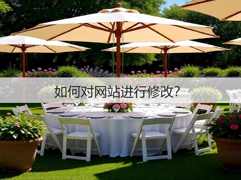 如何对网站进行修改？(图2)