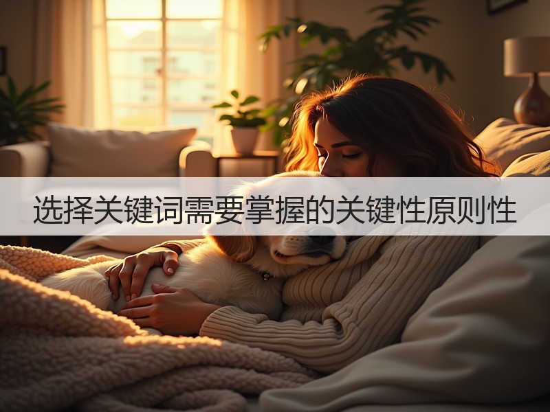选择关键词需要掌握的关键性原则性(图3) 选择关键词需要掌握的关键性原则性(图3)
