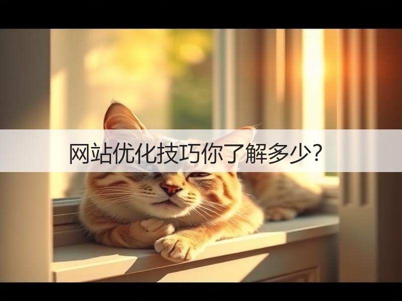 网站优化技巧你了解多少?(图3) 网站优化技巧你了解多少?(图3)
