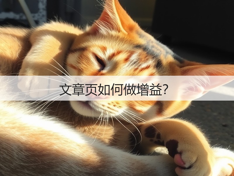 文章页如何做增益？(图3)