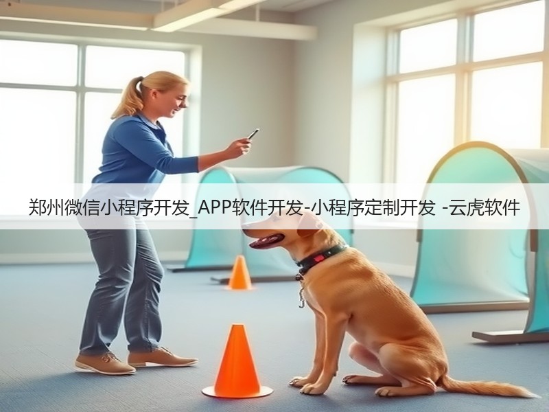 郑州微信小程序开发_APP软件开发-小程序定制开发 -云虎软件(图3)