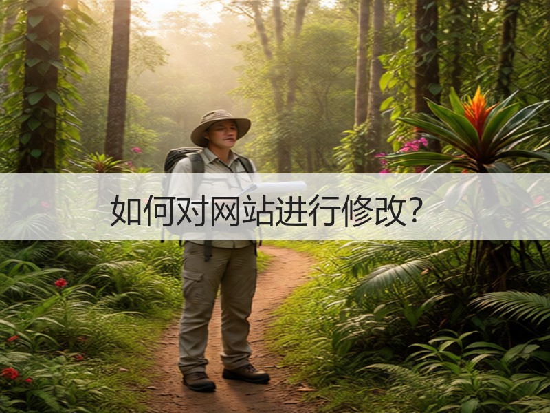 如何对网站进行修改？