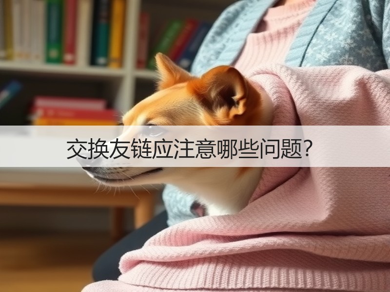 交换友链应注意哪些问题?(图3) 交换友链应注意哪些问题?(图3)