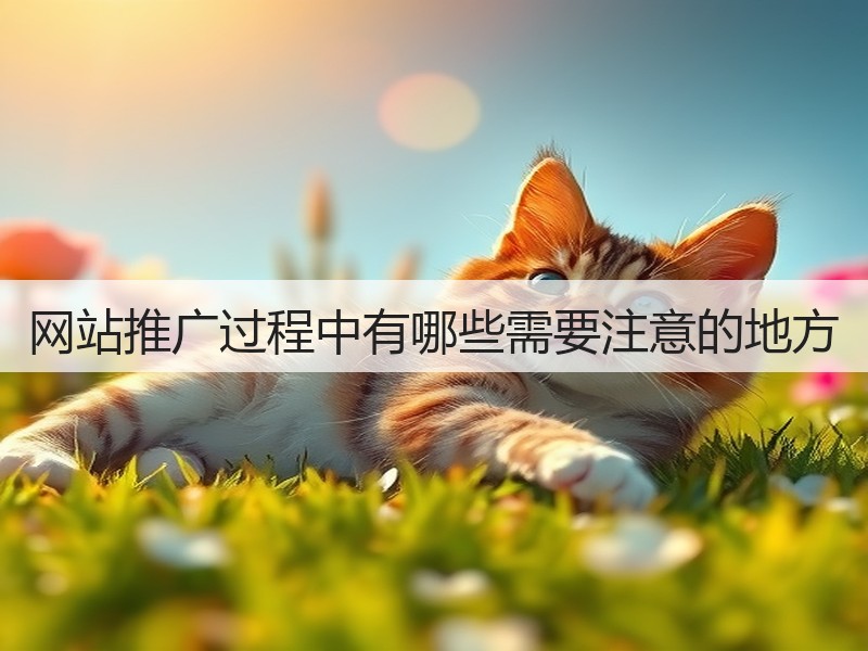 网站推广过程中有哪些需要注意的地方(图3)