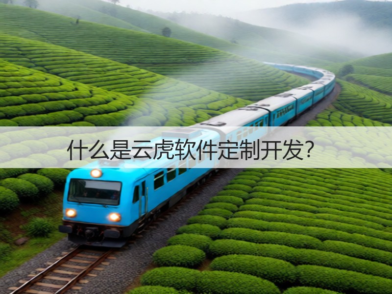 什么是云虎软件定制开发？(图3)