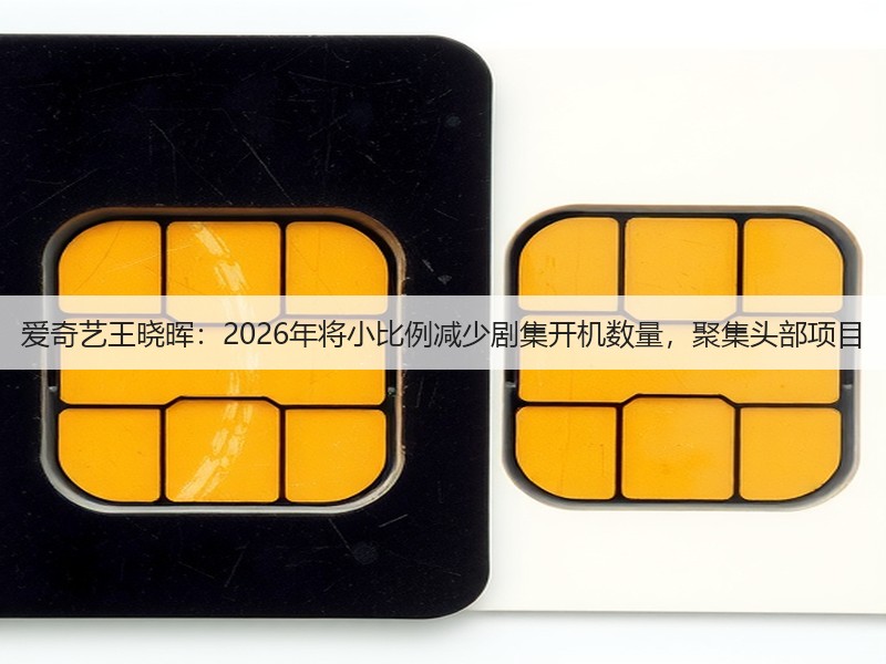 爱奇艺王晓晖：2026年将小比例减少剧集开机数量，聚集头部项目(图3)