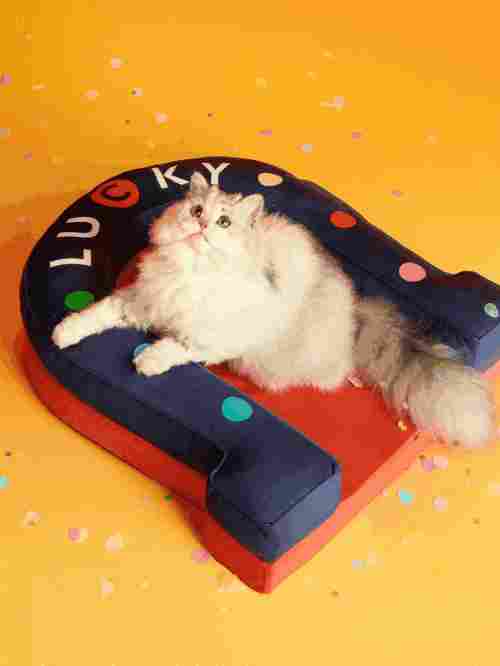 2026 互联网大厂新年礼盒大赏！马年花式整活，各显神通(图5)