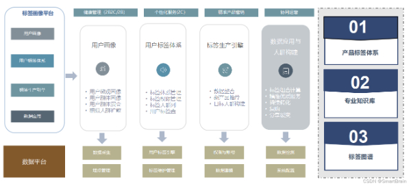云脉信息：定制化网页设计，赋能企业数字化新征程